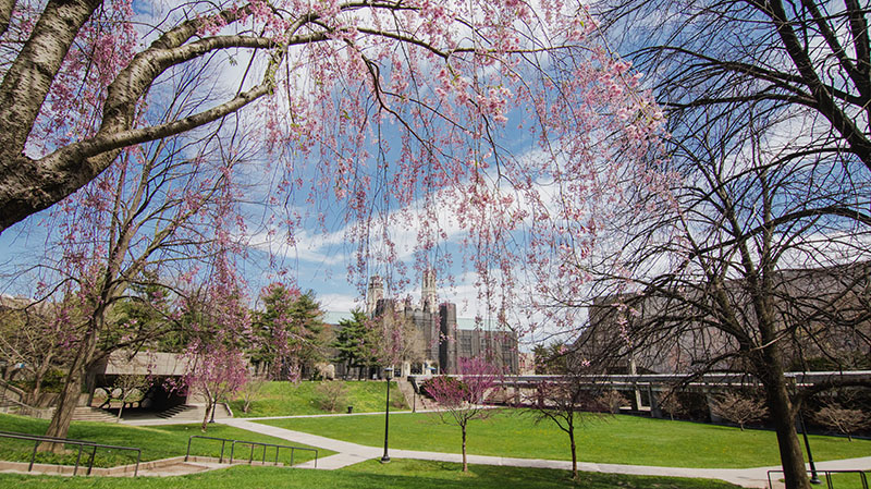 Campus Construction Header Image