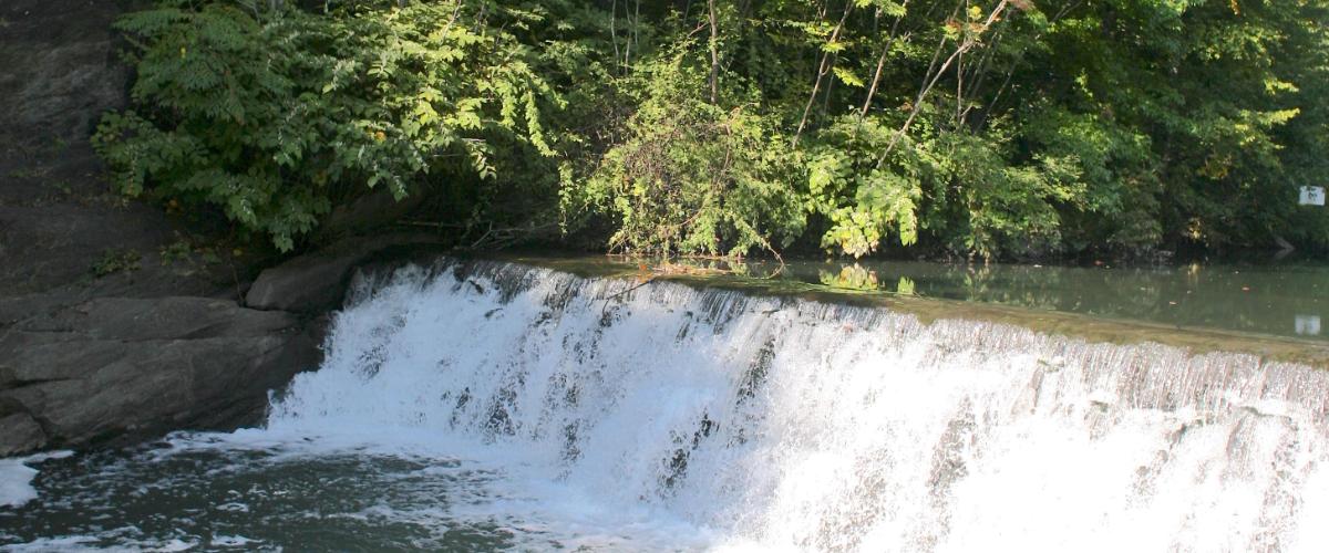Bronx Park
