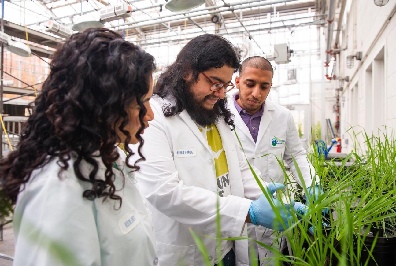 Biology Student Researching Plants