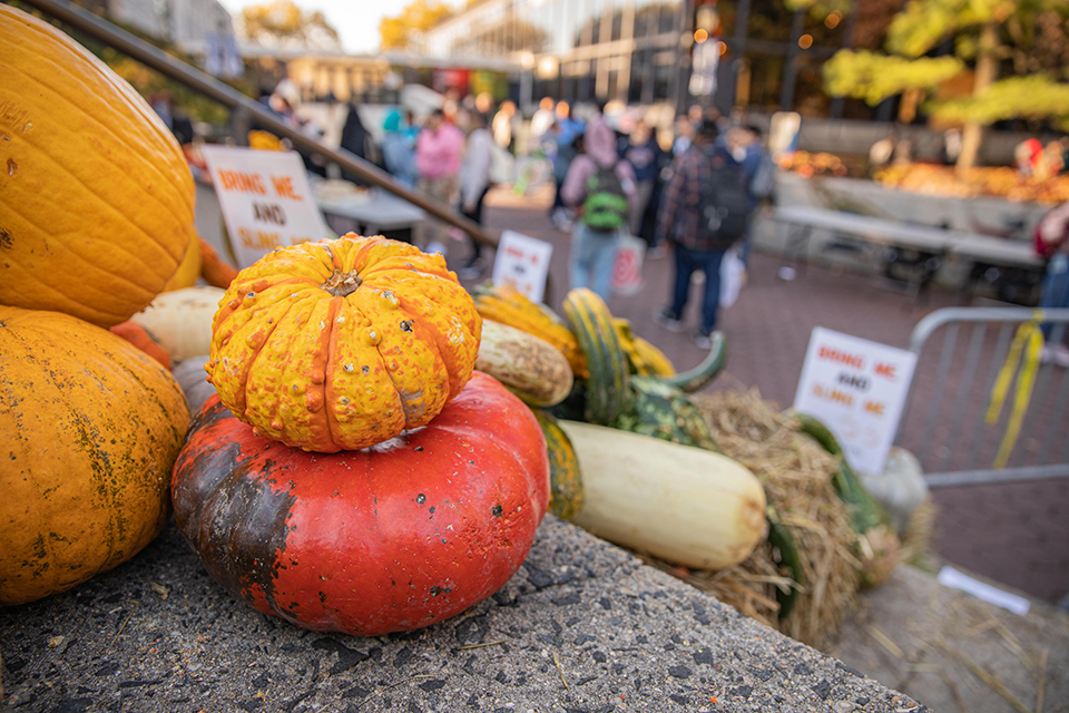 A pile of pumpkins and squashes on concrete steps with people in the background.