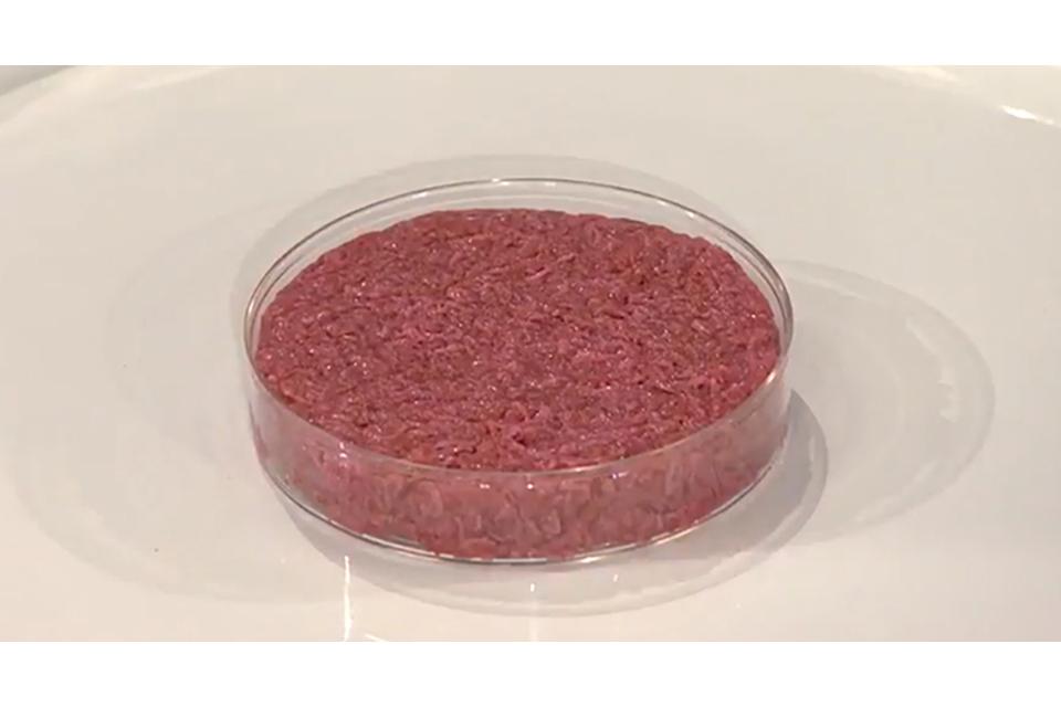 A hamburger patty in a Petri dish.