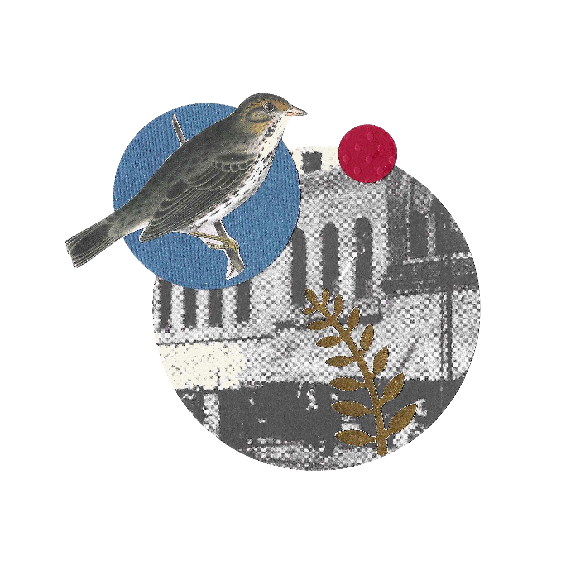 A collage/mixed-media image with a print of a bird in a blue circle