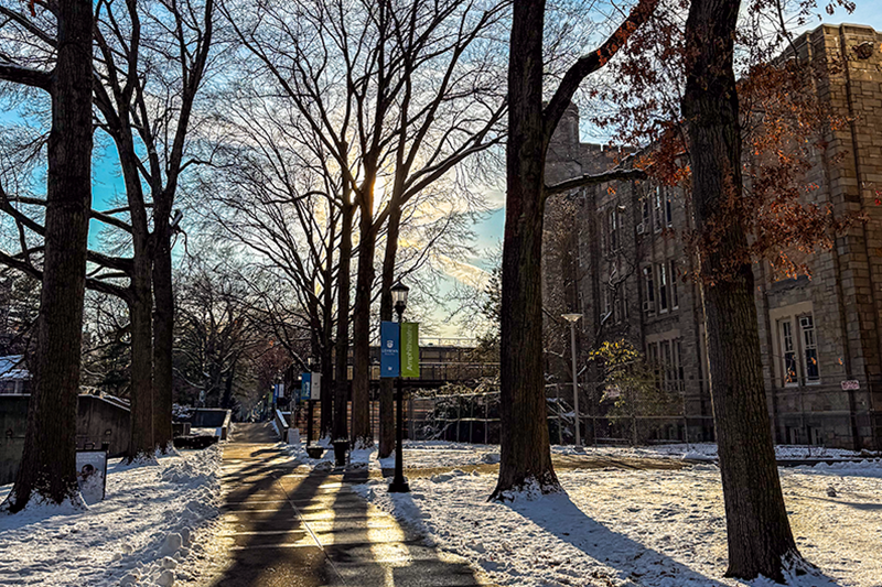 Winter Trees and snow along the campus walkway