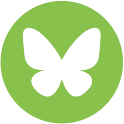 BlueSkye Logo