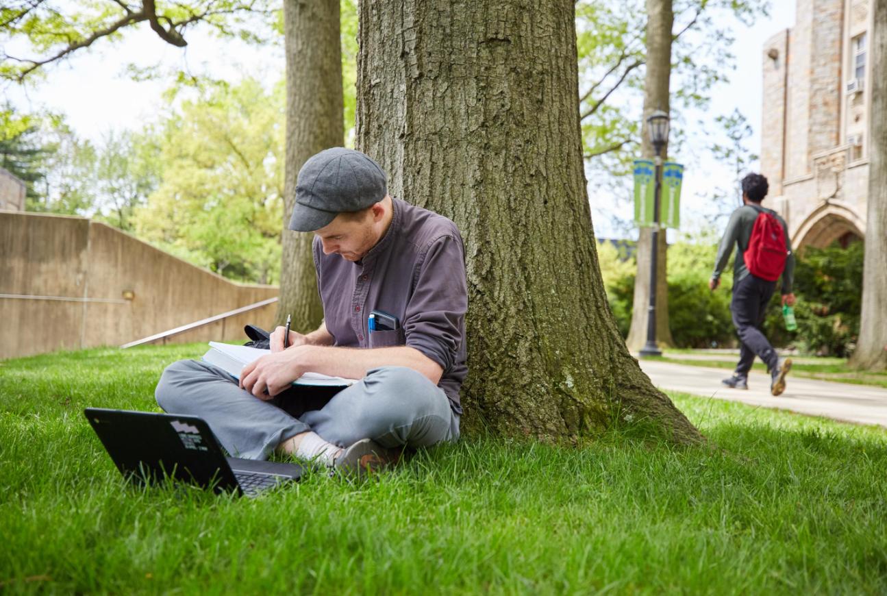 Student Sitting Under Tree