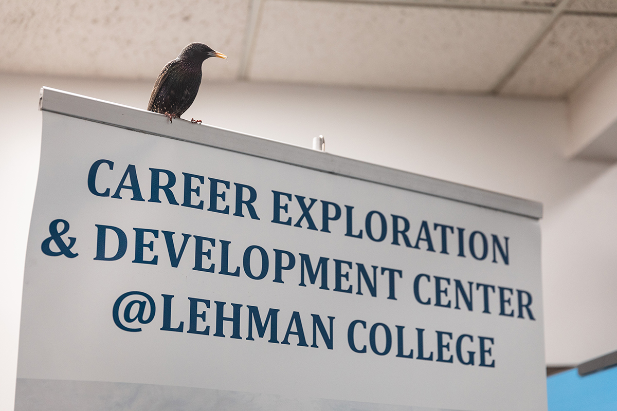 Career Exploration and Professional Development