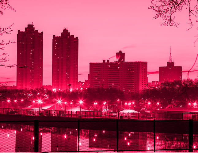 A Healthier Bronx